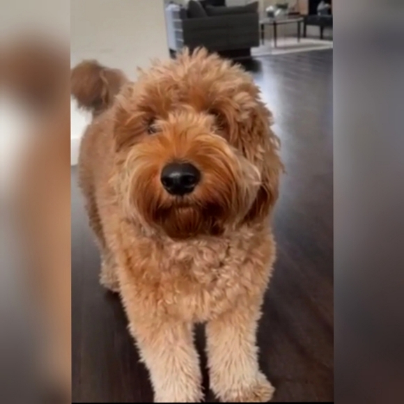 Meet the Posher of WowNYC, Wowie! - Picture 16 of 16